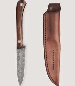 The Damascus Muntjac In Desert Ironwood